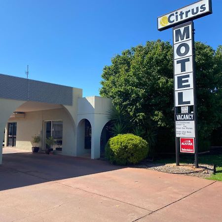 Citrus Motel Griffith Esterno foto