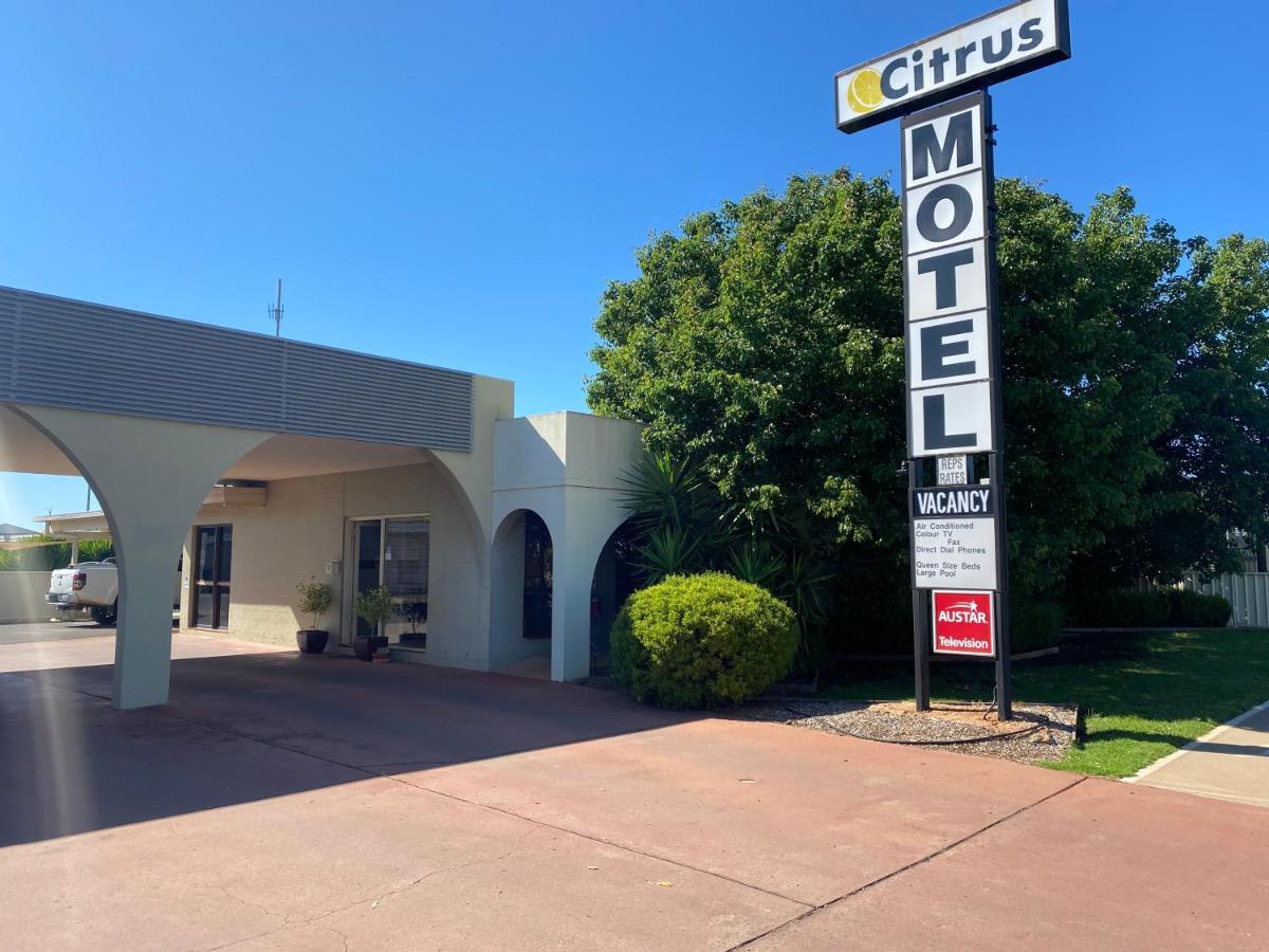 Citrus Motel Griffith Esterno foto